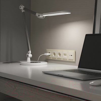 Рамка для выключателей и розеток Werkel Favorit W0051141