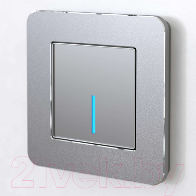 Рамка для выключателей и розеток Werkel Platinum W0012606