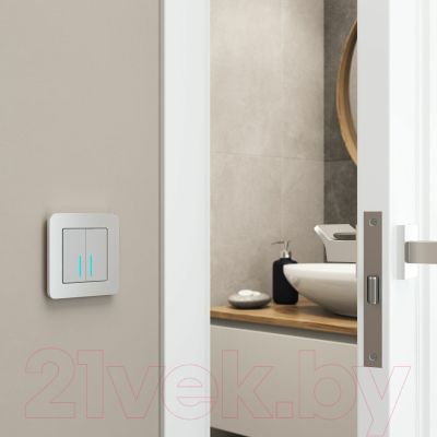 Рамка для выключателей и розеток Werkel Platinum W0012606