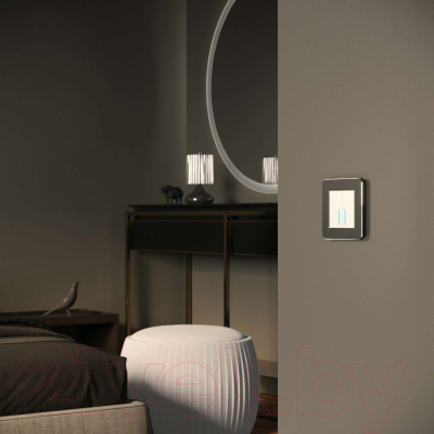 Рамка для выключателей и розеток Werkel Platinum W0012608