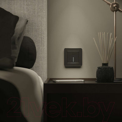 Рамка для выключателей и розеток Werkel Platinum W0012608