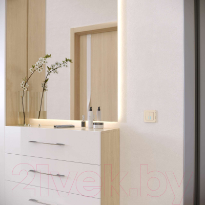 Рамка для выключателей и розеток Werkel Platinum W0012611