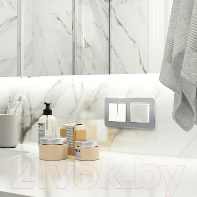 Рамка для выключателей и розеток Werkel Platinum W0022606