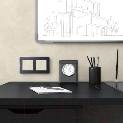 Рамка для выключателей и розеток Werkel Platinum W0022608