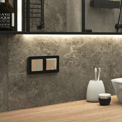 Рамка для выключателей и розеток Werkel Platinum W0022608