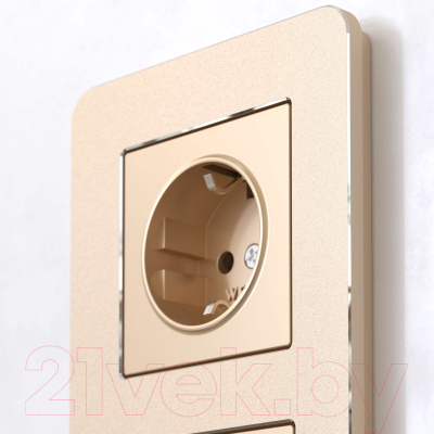 Рамка для выключателей и розеток Werkel Platinum W0022611