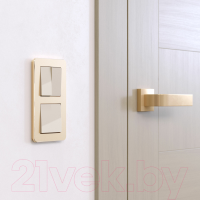 Рамка для выключателей и розеток Werkel Platinum W0022611