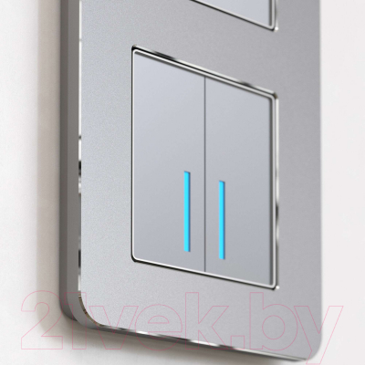 Рамка для выключателей и розеток Werkel Platinum W0032606