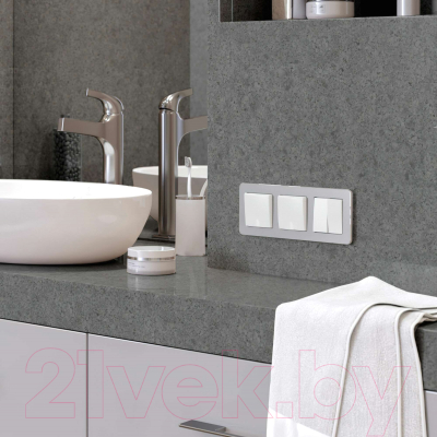 Рамка для выключателей и розеток Werkel Platinum W0032606