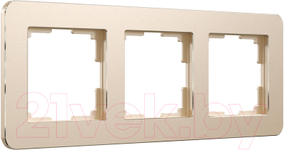 Рамка для выключателей и розеток Werkel Platinum W0032611 - фото