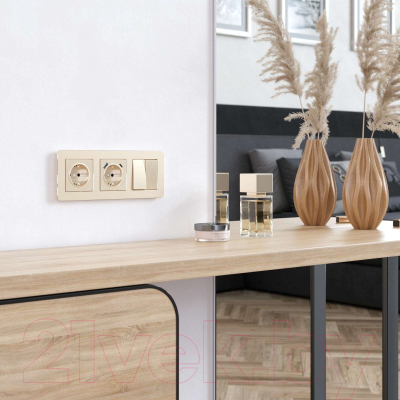 Рамка для выключателей и розеток Werkel Platinum W0032611