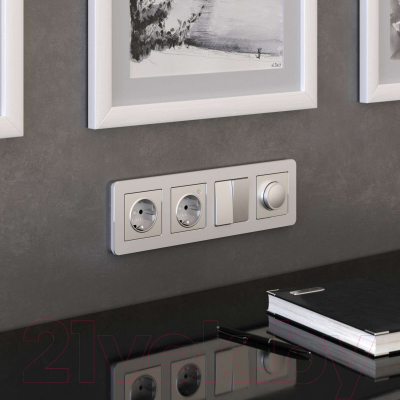 Рамка для выключателей и розеток Werkel Platinum W0042606