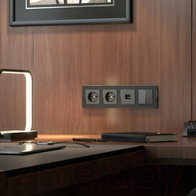 Рамка для выключателей и розеток Werkel Platinum W0042608