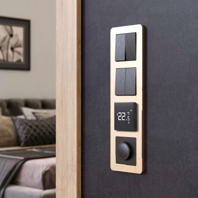 Рамка для выключателей и розеток Werkel Platinum W0042611