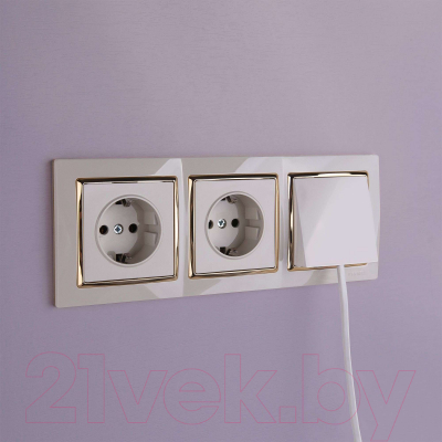 Рамка для выключателей и розеток Werkel Snabb W0031932