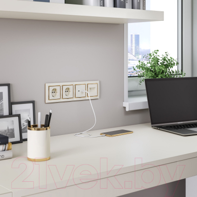 Рамка для выключателей и розеток Werkel Snabb W0041932