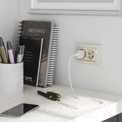 Рамка для выключателей и розеток Werkel Snabb W0081903