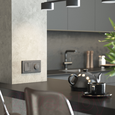 Рамка для выключателей и розеток Werkel Stark W0021864