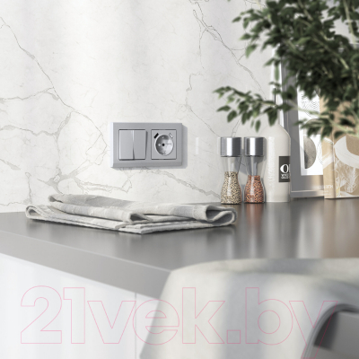 Рамка для выключателей и розеток Werkel Stark W0021865