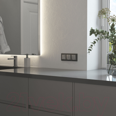 Рамка для выключателей и розеток Werkel Stark W0031864