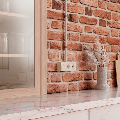 Коробка открытого монтажа Werkel W8000003