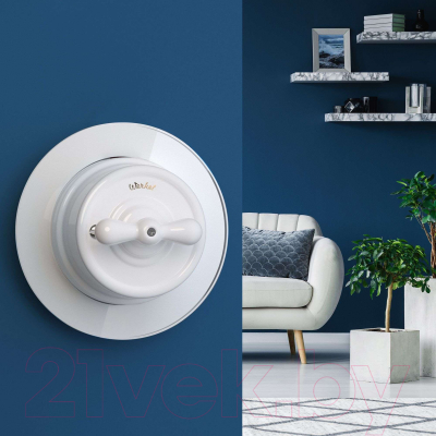 Рамка для выключателей и розеток Werkel W0015101