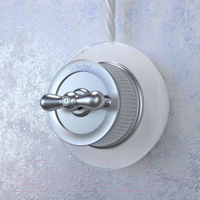 Рамка для выключателей и розеток Werkel W0015101