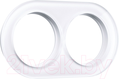 Рамка для выключателей и розеток Werkel W0025101 - фото