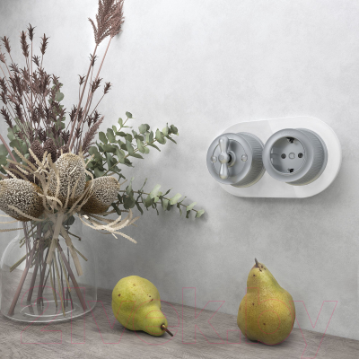 Рамка для выключателей и розеток Werkel W0025101