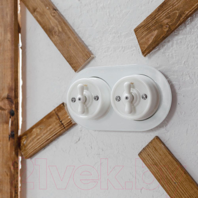 Рамка для выключателей и розеток Werkel W0025101