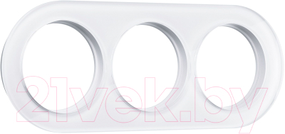 Рамка для выключателей и розеток Werkel W0035101 - фото