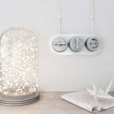 Рамка для выключателей и розеток Werkel W0035101