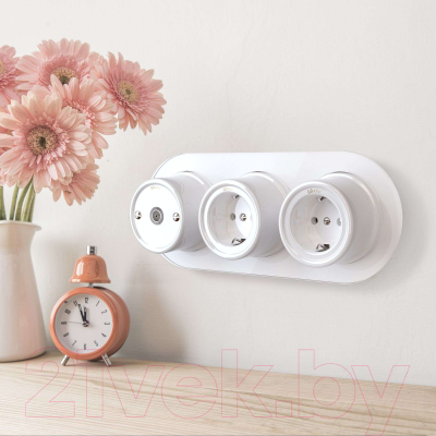 Рамка для выключателей и розеток Werkel W0035101