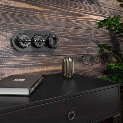 Рамка для выключателей и розеток Werkel W0035108