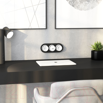 Рамка для выключателей и розеток Werkel W0035108