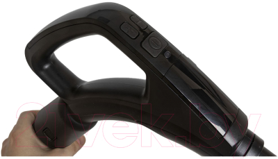 Пылесос Pioneer VC365C