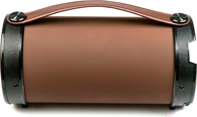 Портативная акустика Dialog Progressive AP-1000 - фото