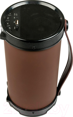 Портативная акустика Dialog Progressive AP-1000