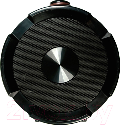 Портативная акустика Dialog Progressive AP-1000