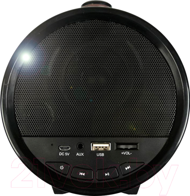 Портативная акустика Dialog Progressive AP-1000