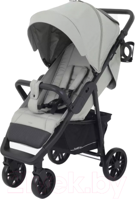 Детская прогулочная коляска Rant Basic Vega 2024 / RA105 - фото