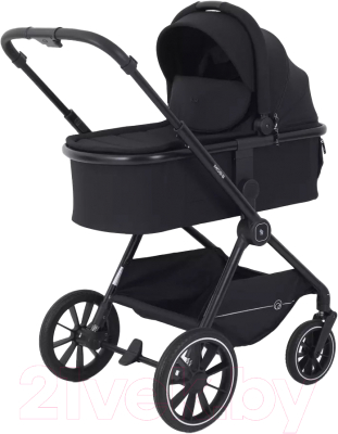 Детская универсальная коляска Rant Moss 2 в 1 / RA321  - фото