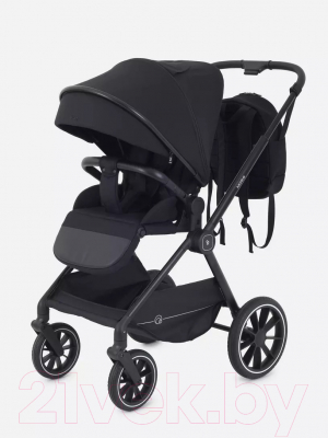 Детская универсальная коляска Rant Moss 2 в 1 / RA321 