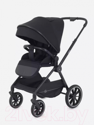 Детская универсальная коляска Rant Moss 2 в 1 / RA321 