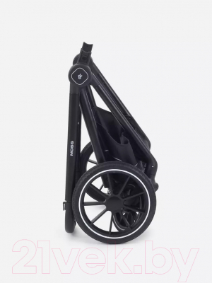 Детская универсальная коляска Rant Moss 2 в 1 / RA321 