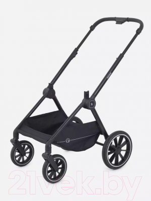 Детская универсальная коляска Rant Moss 2 в 1 / RA321 