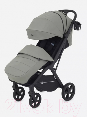 Детская прогулочная коляска Rant Lumos / RA402 