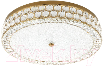 Потолочный светильник LED4U L1181-700 BS - фото