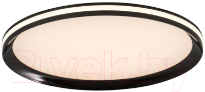 Потолочный светильник LED4U L3020-400 BK - фото