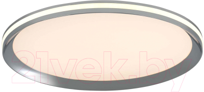 Потолочный светильник LED4U L3020-400 CR - фото